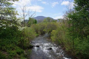 Wintergreen Winery 3