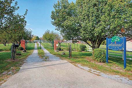 Aliabaad Farm Welcome gate