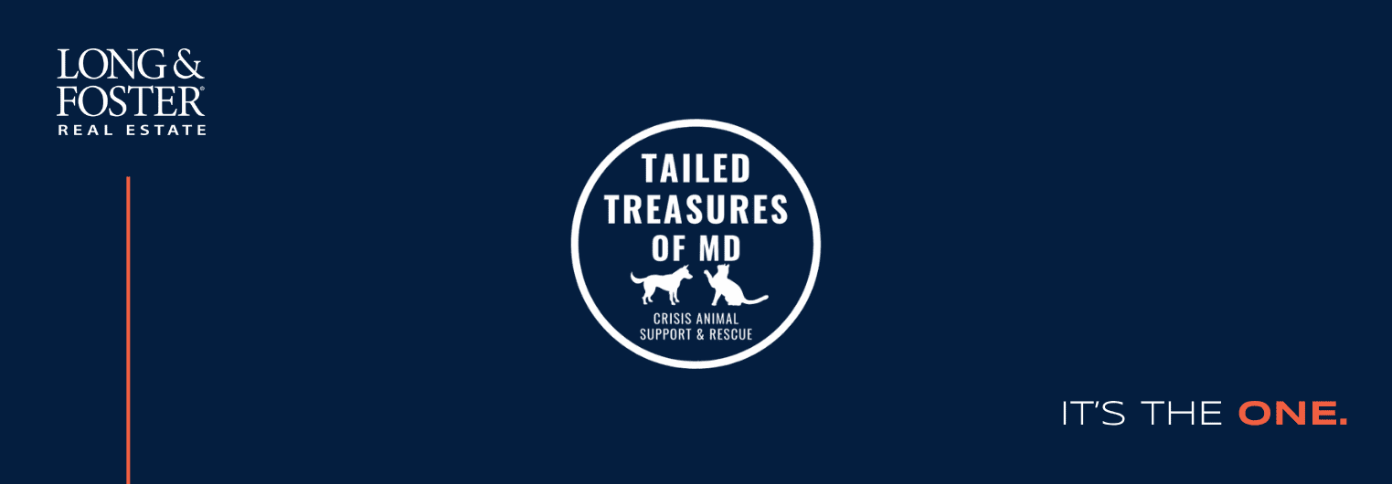 Tailed Treasures